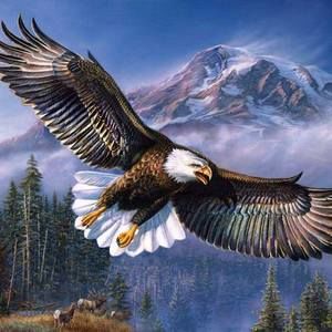 Meet your Posher, Candy